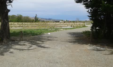 Parks, a report photo