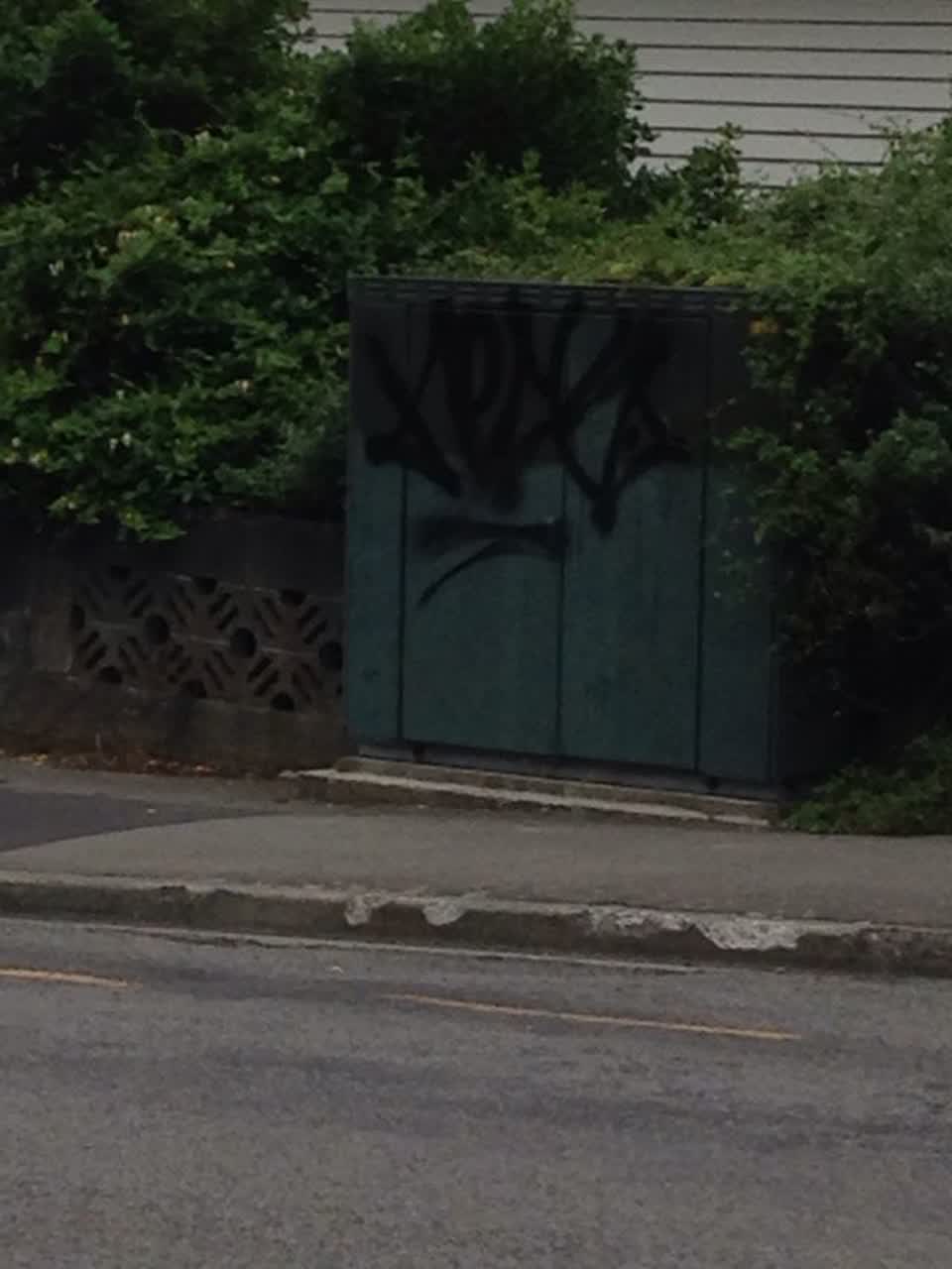 The photograph attached to this graffiti report