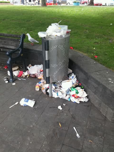 Rubbish/Recycling, a report photo