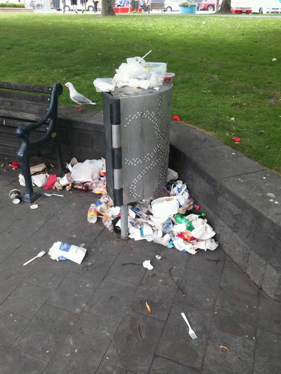 The photograph attached to this rubbish/recycling report