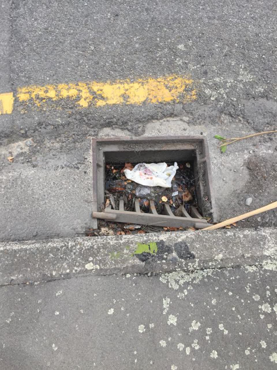 The photograph attached to this wastewater/stormwater report