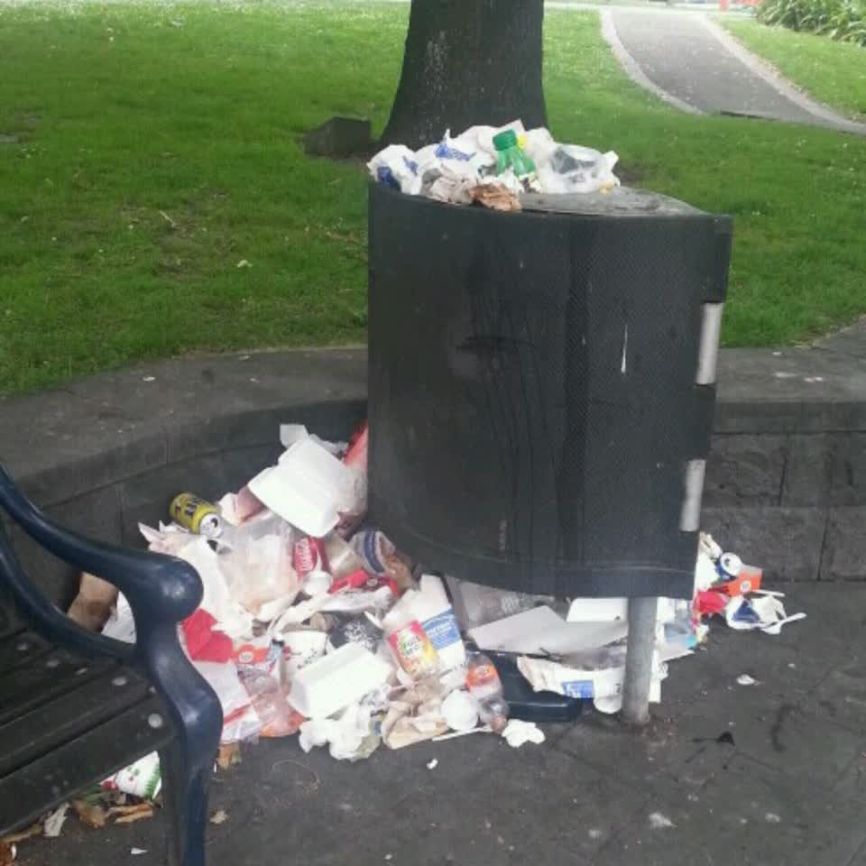 The photograph attached to this rubbish/recycling report