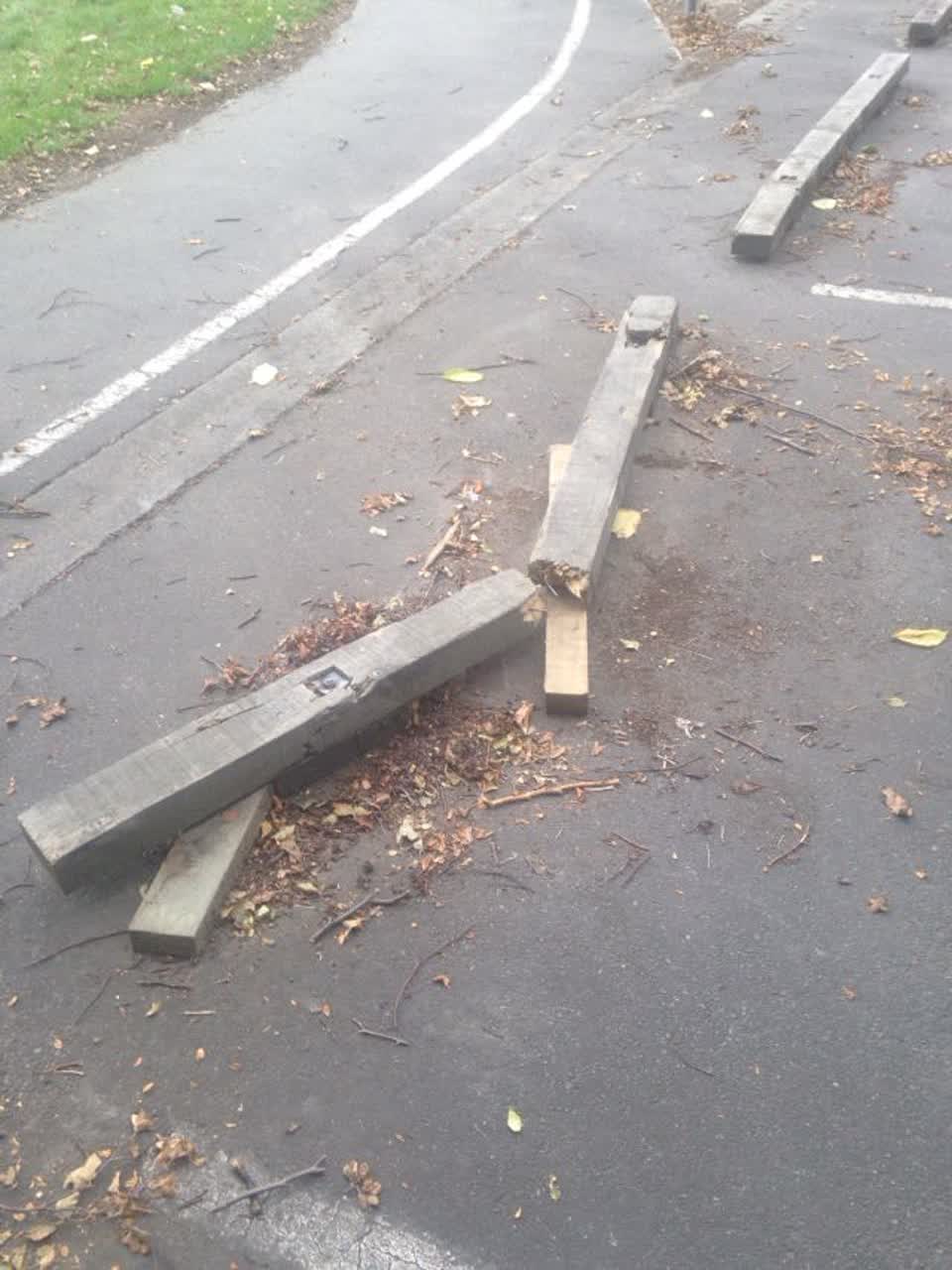 The photograph attached to this parks report
