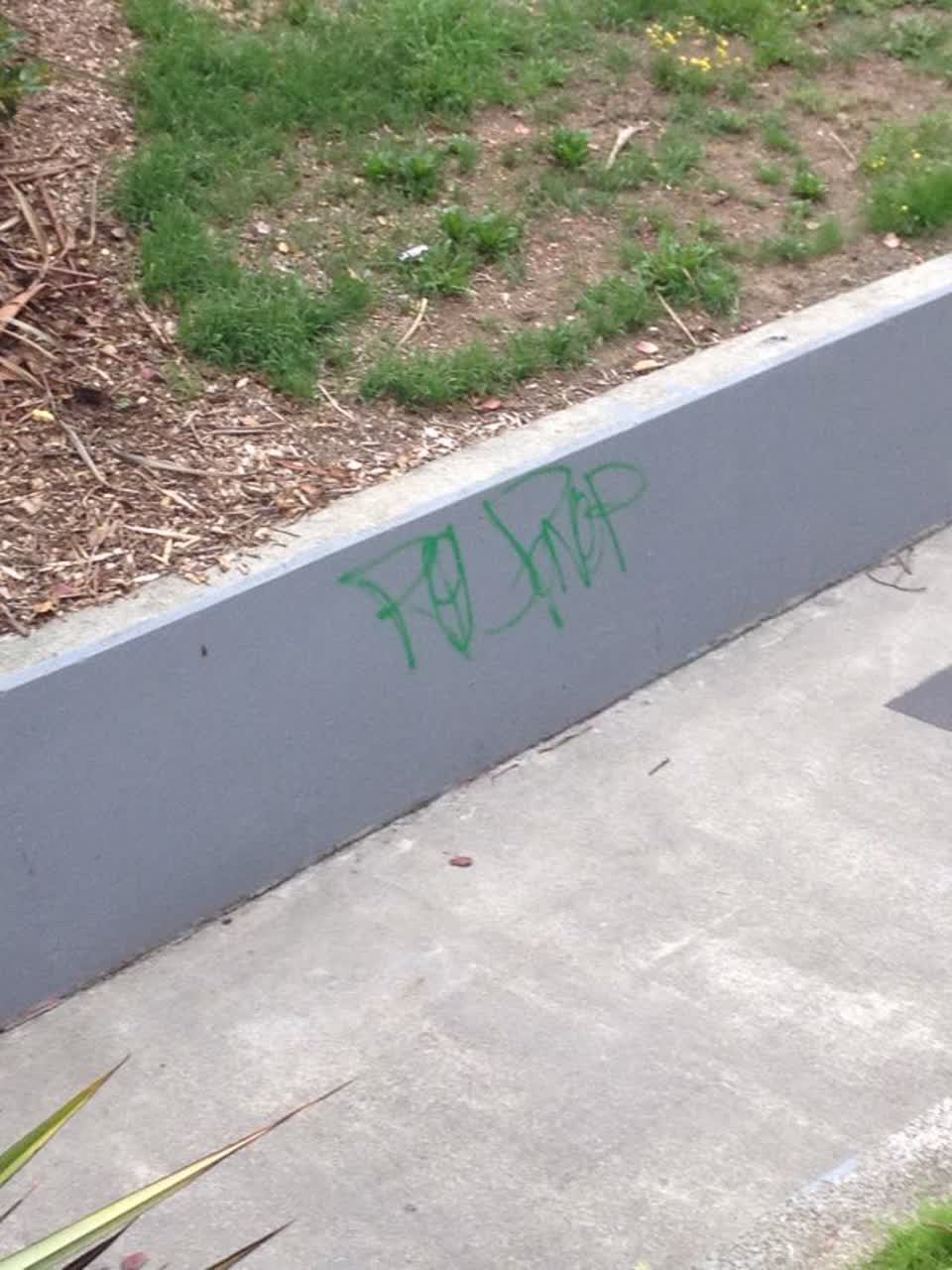 The photograph attached to this graffiti report