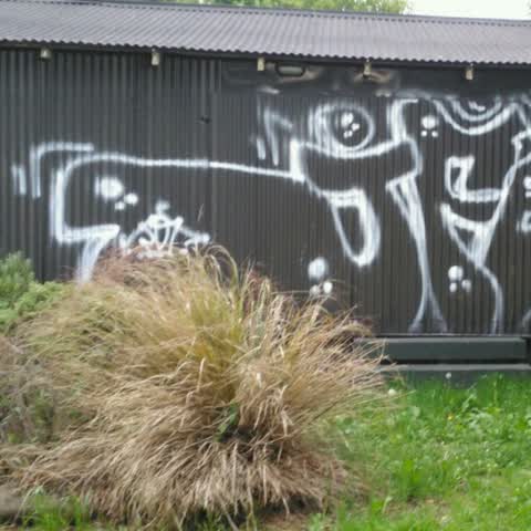 Graffiti — a report photo