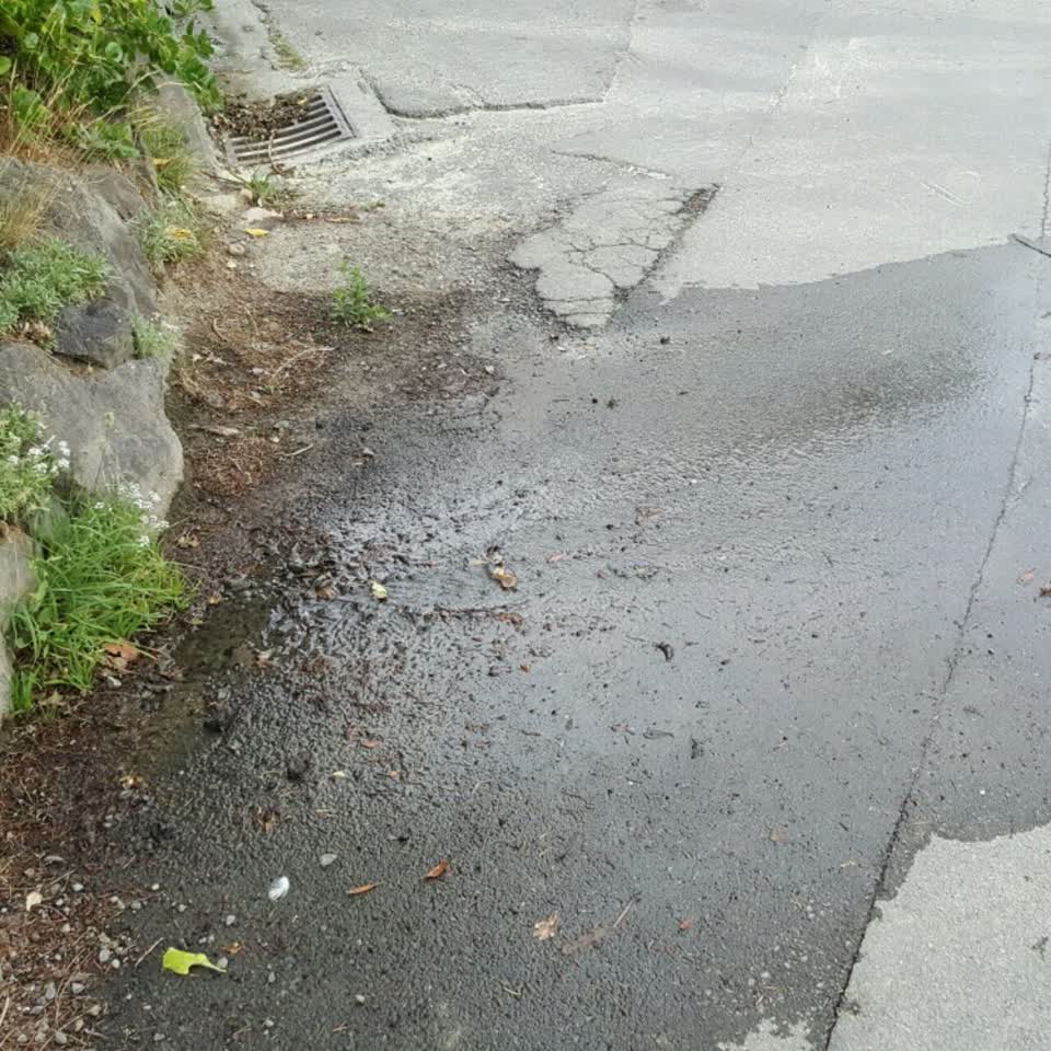 The photograph attached to this water supply report