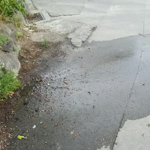 Water Supply, a report photo