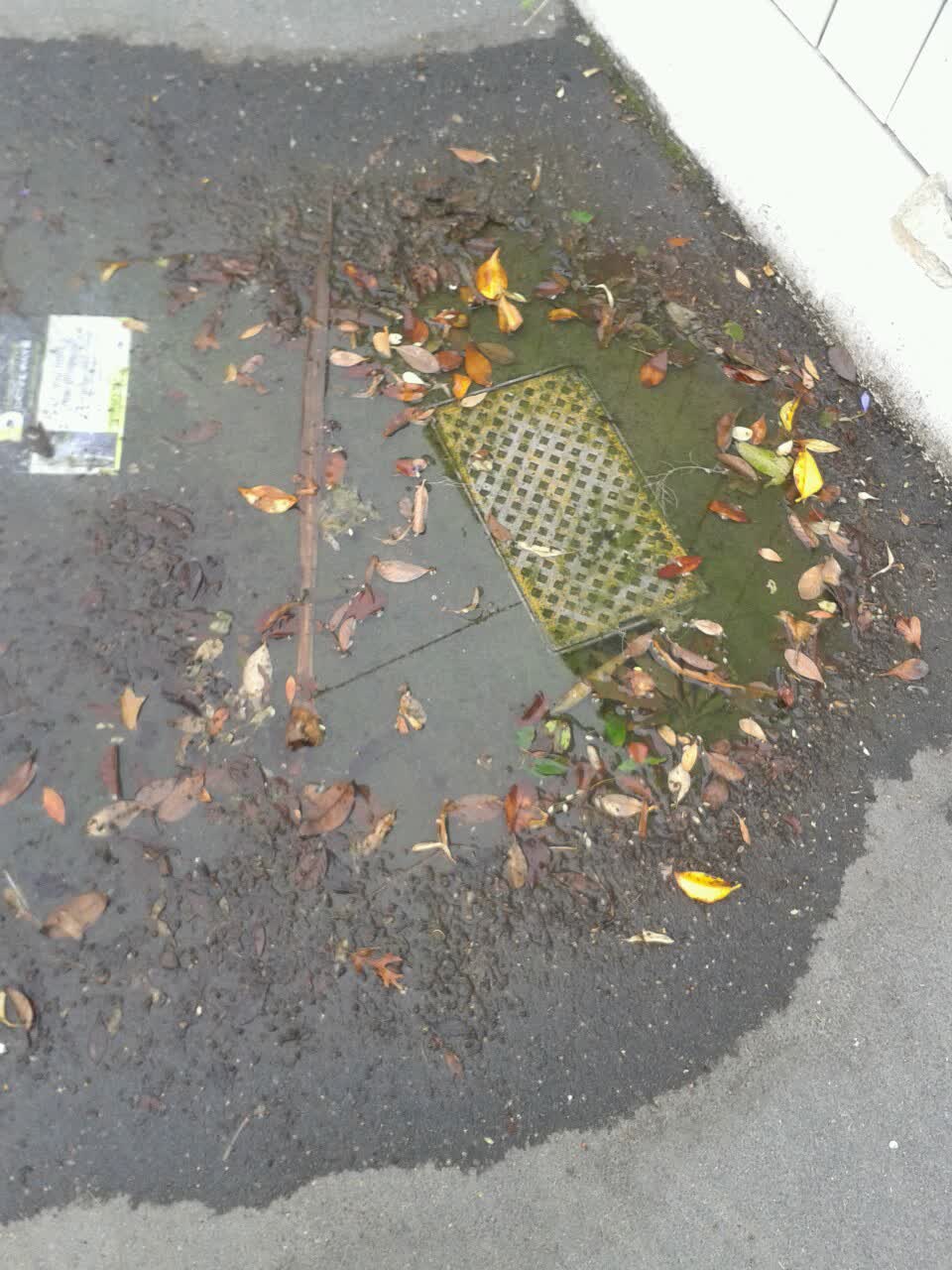 The photograph attached to this water supply report