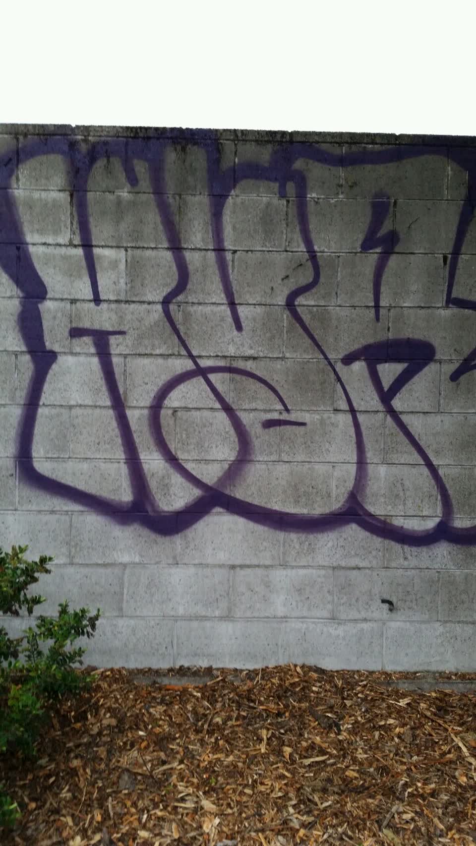 The photograph attached to this graffiti report