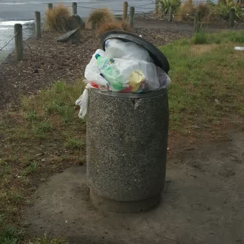 Rubbish/Recycling, a report photo
