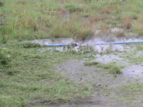 Water Supply, a report photo