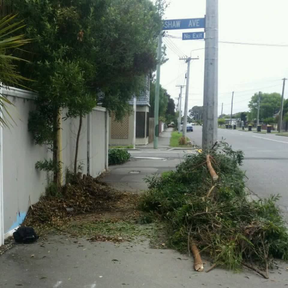 The photograph attached to this parks report