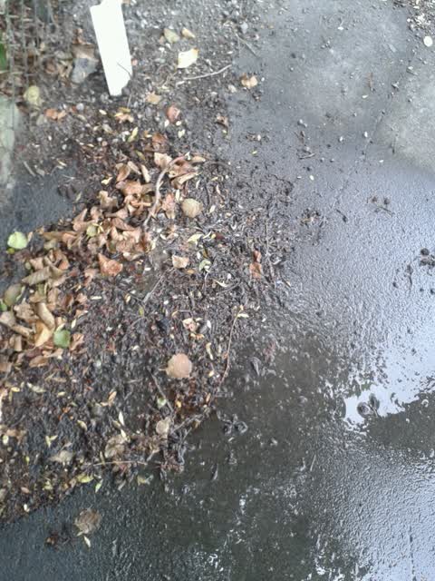Water Supply, a report photo