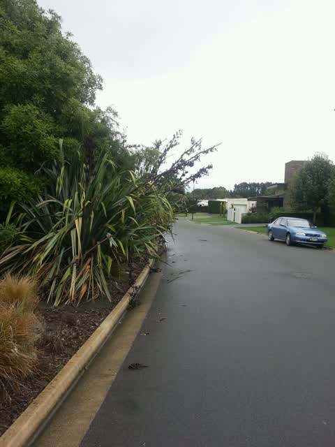 Roading/Streets, a report photo