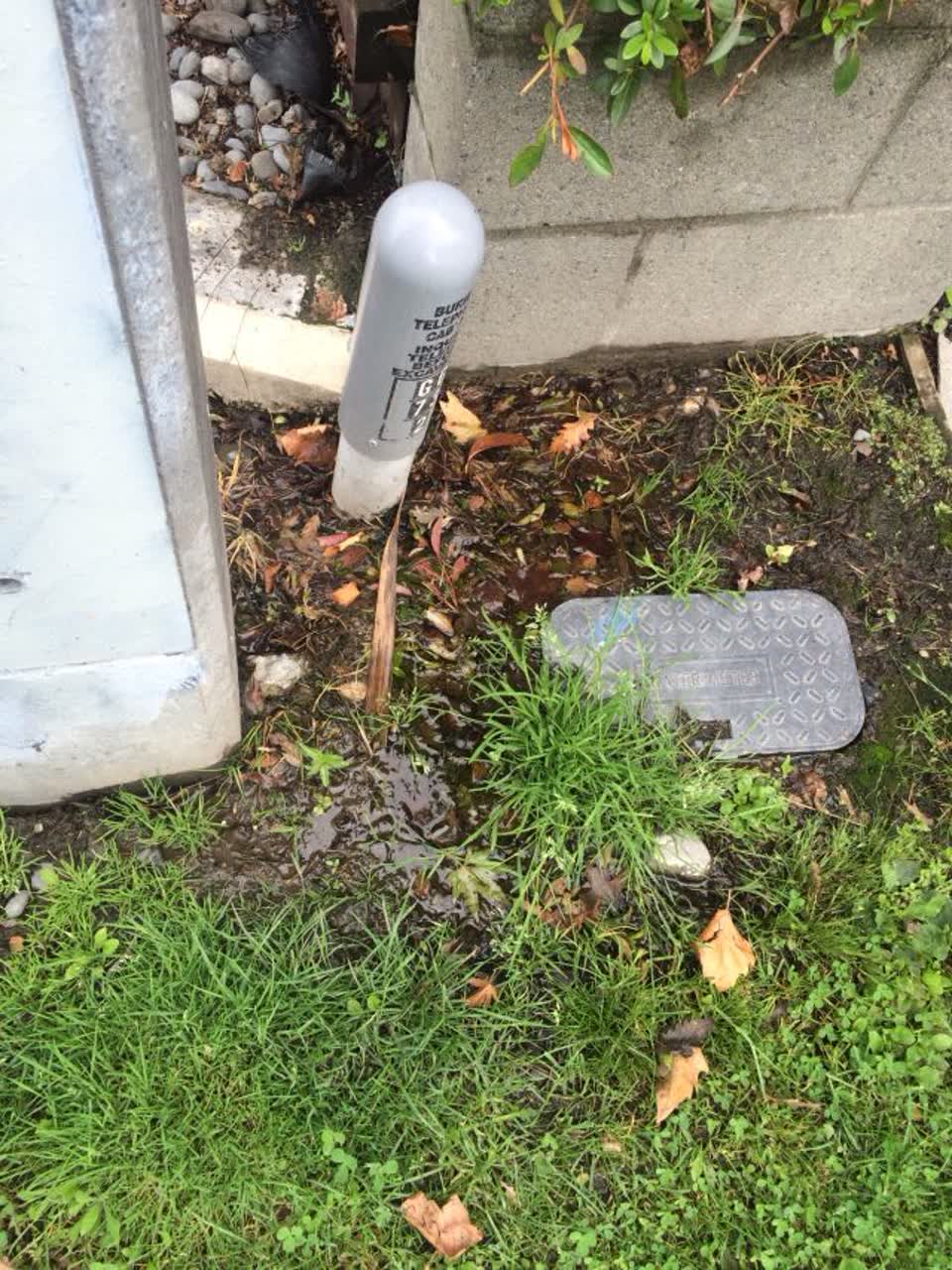 The photograph attached to this water supply report