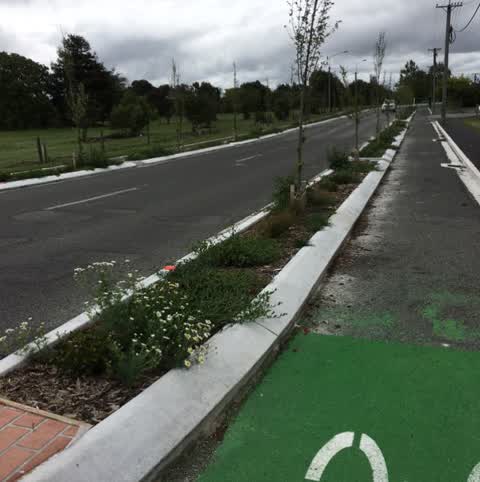 Roading/Streets, a report photo