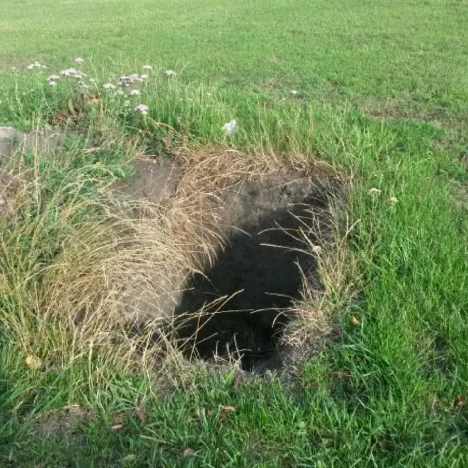 The photograph attached to this parks report