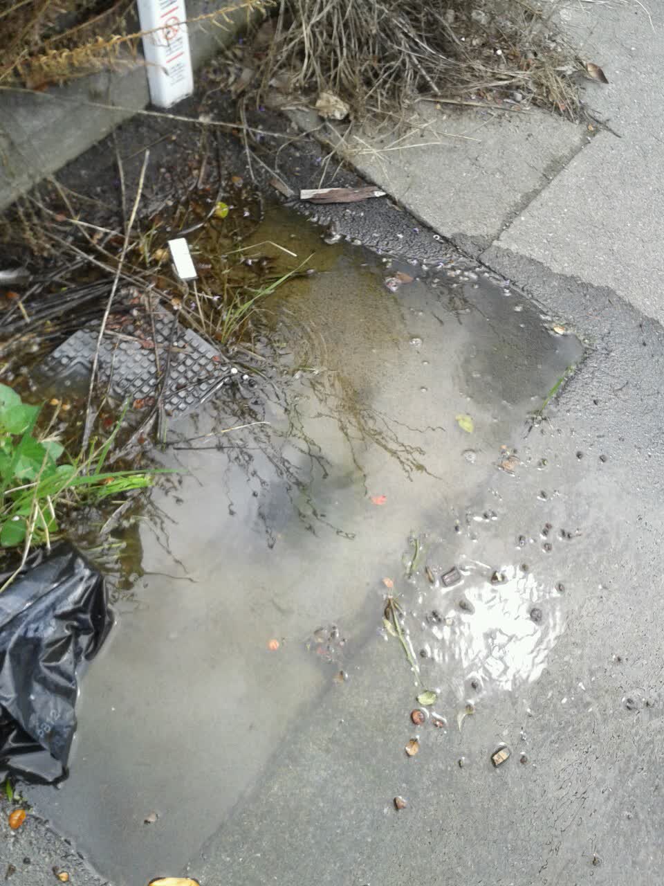 The photograph attached to this water supply report