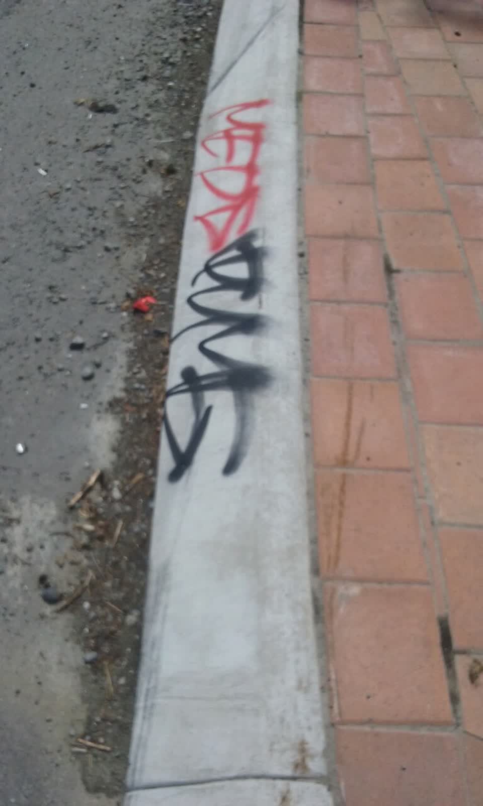 The photograph attached to this graffiti report