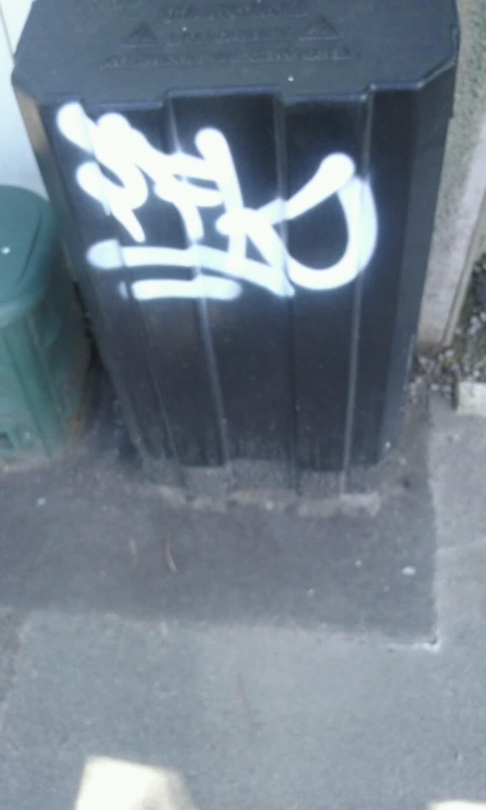 The photograph attached to this graffiti report