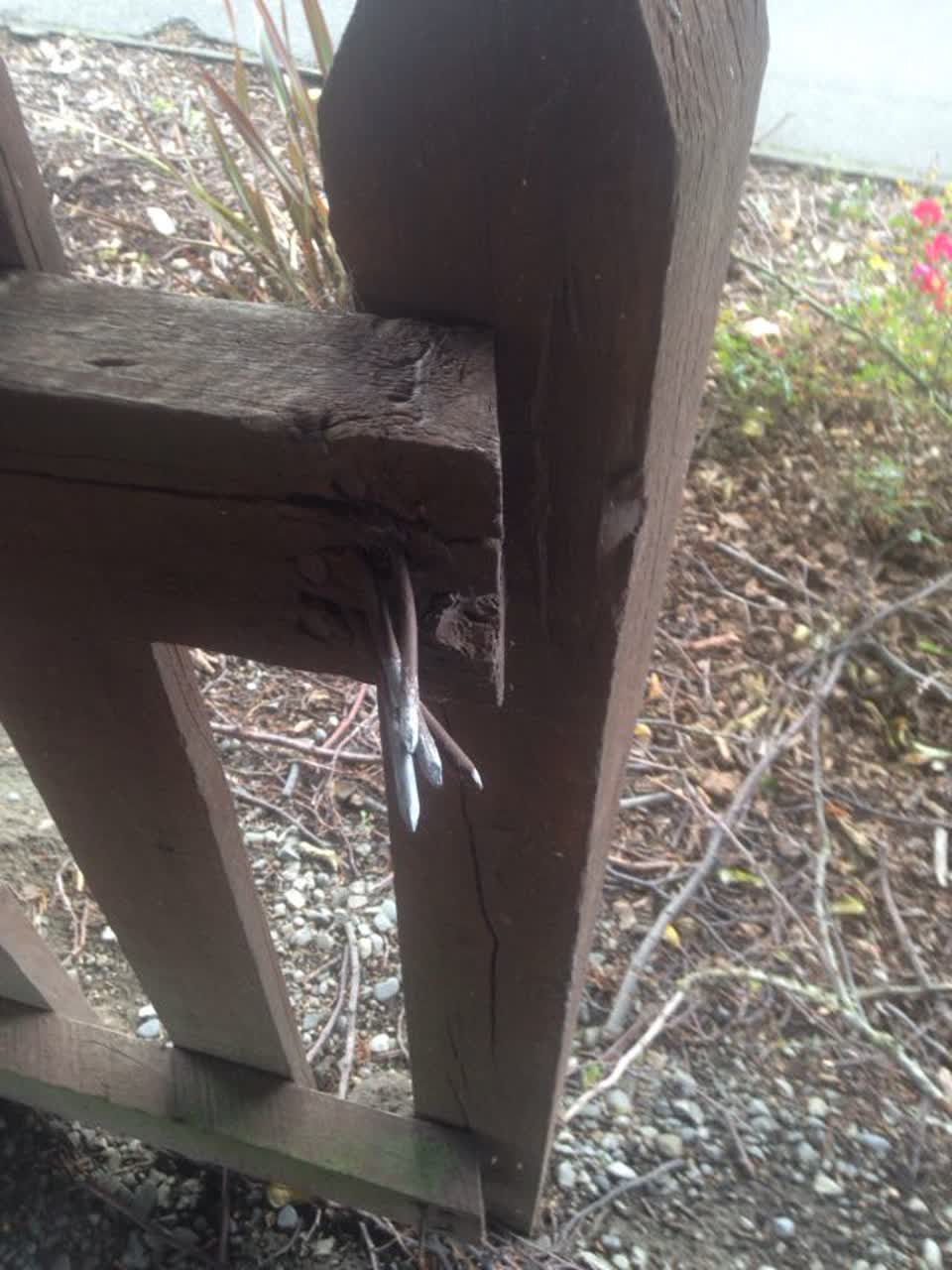 The photograph attached to this parks report