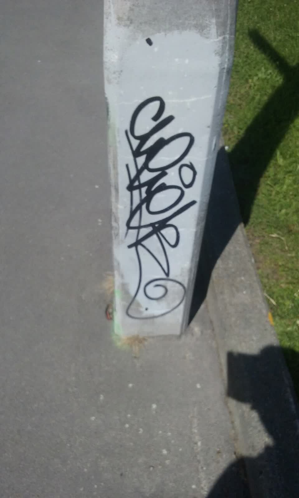 The photograph attached to this graffiti report