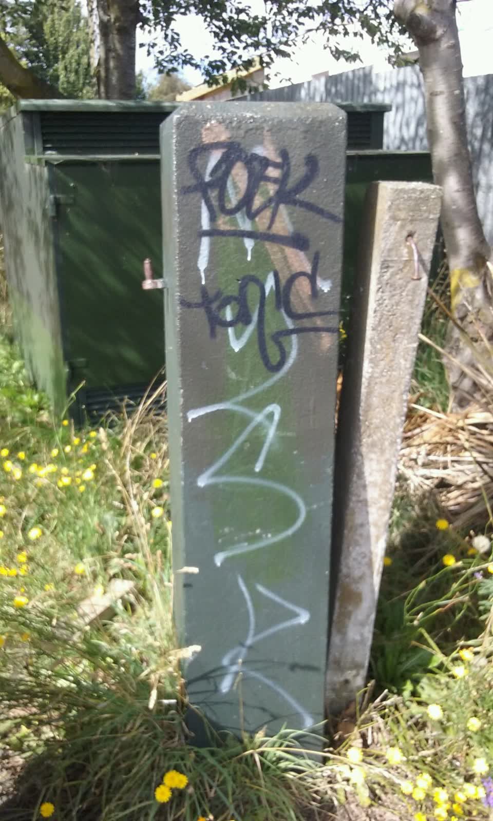 The photograph attached to this graffiti report