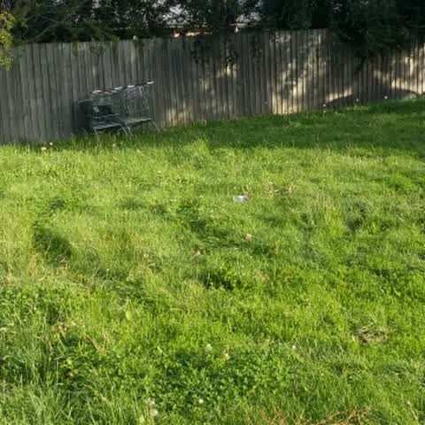 Parks, a report photo
