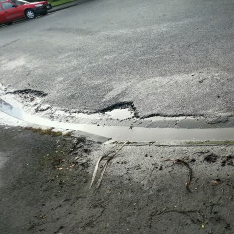 Roading/Streets, a report photo