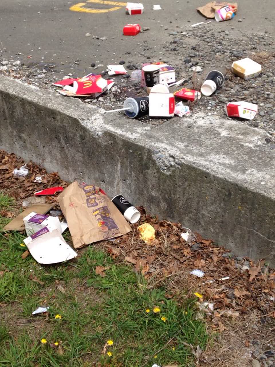 The photograph attached to this rubbish/recycling report