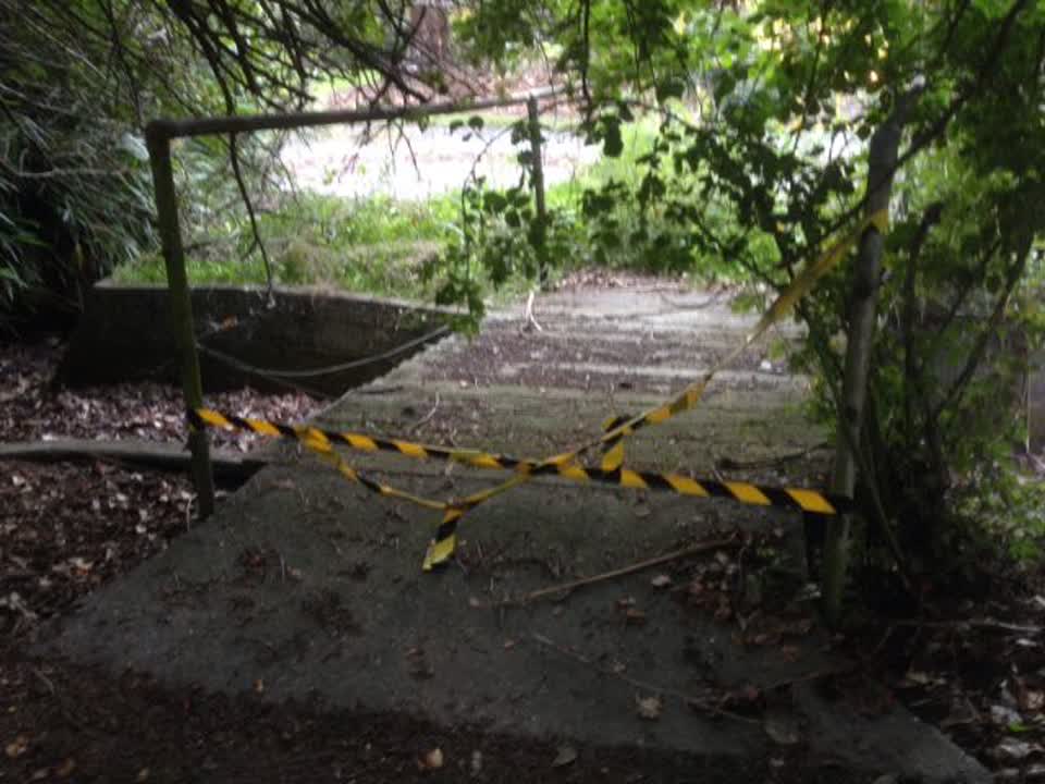 The photograph attached to this parks report