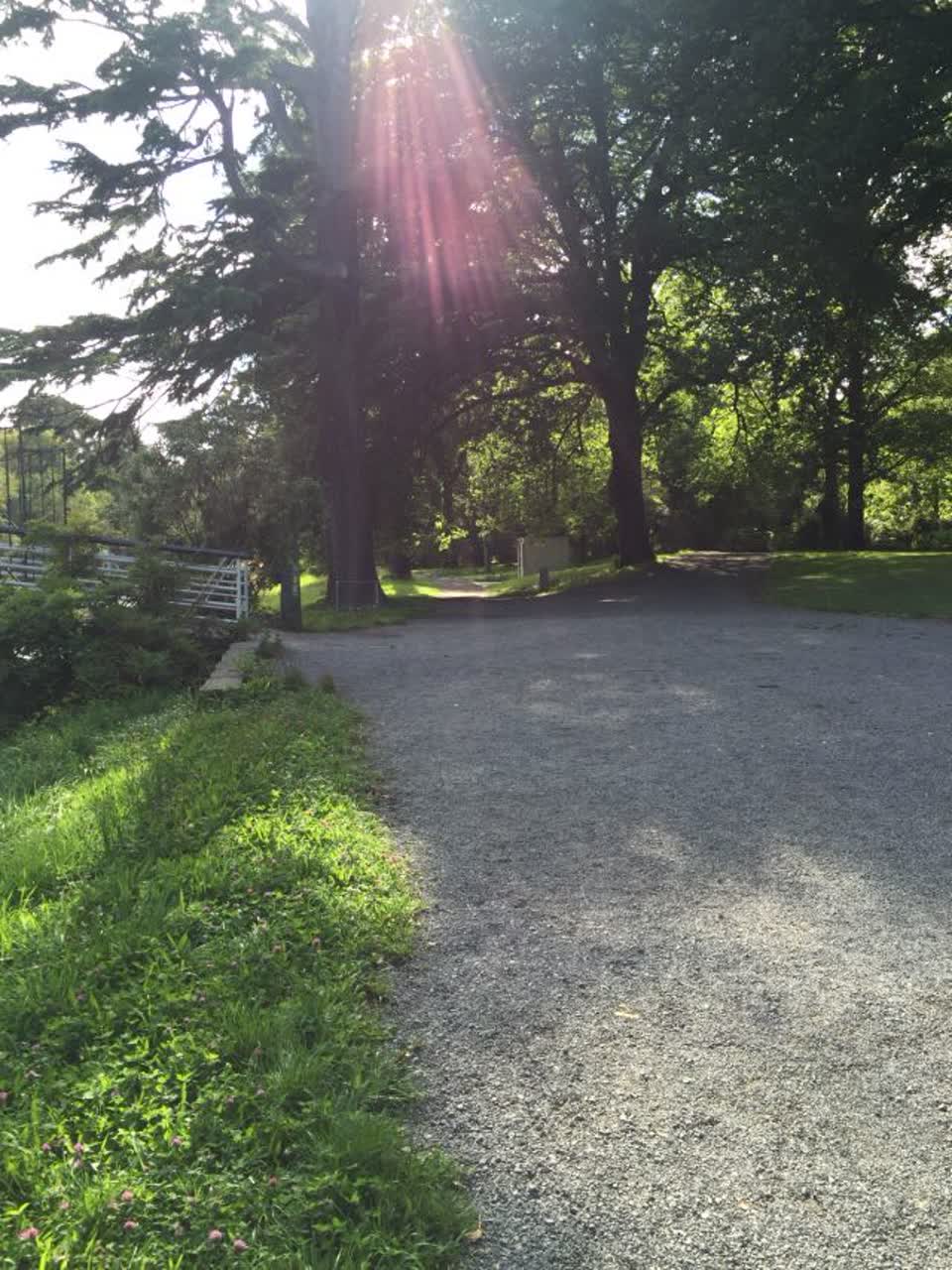 The photograph attached to this parks report