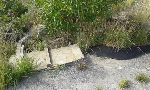 Rubbish/Recycling, a report photo