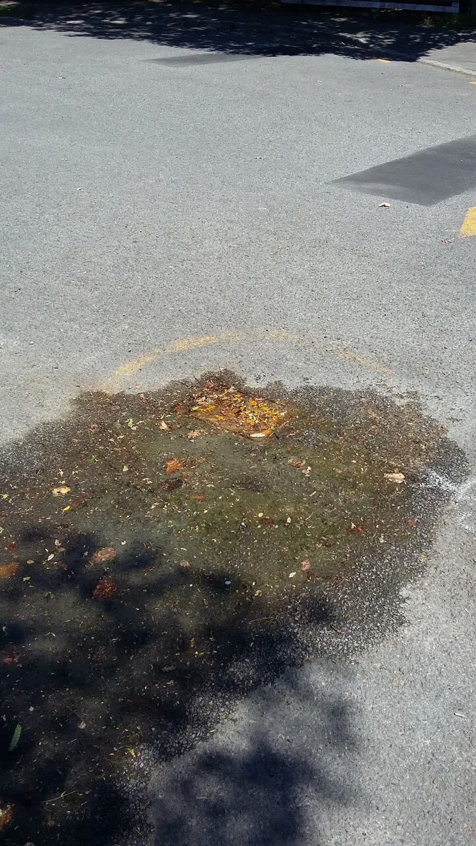 The photograph attached to this water supply report