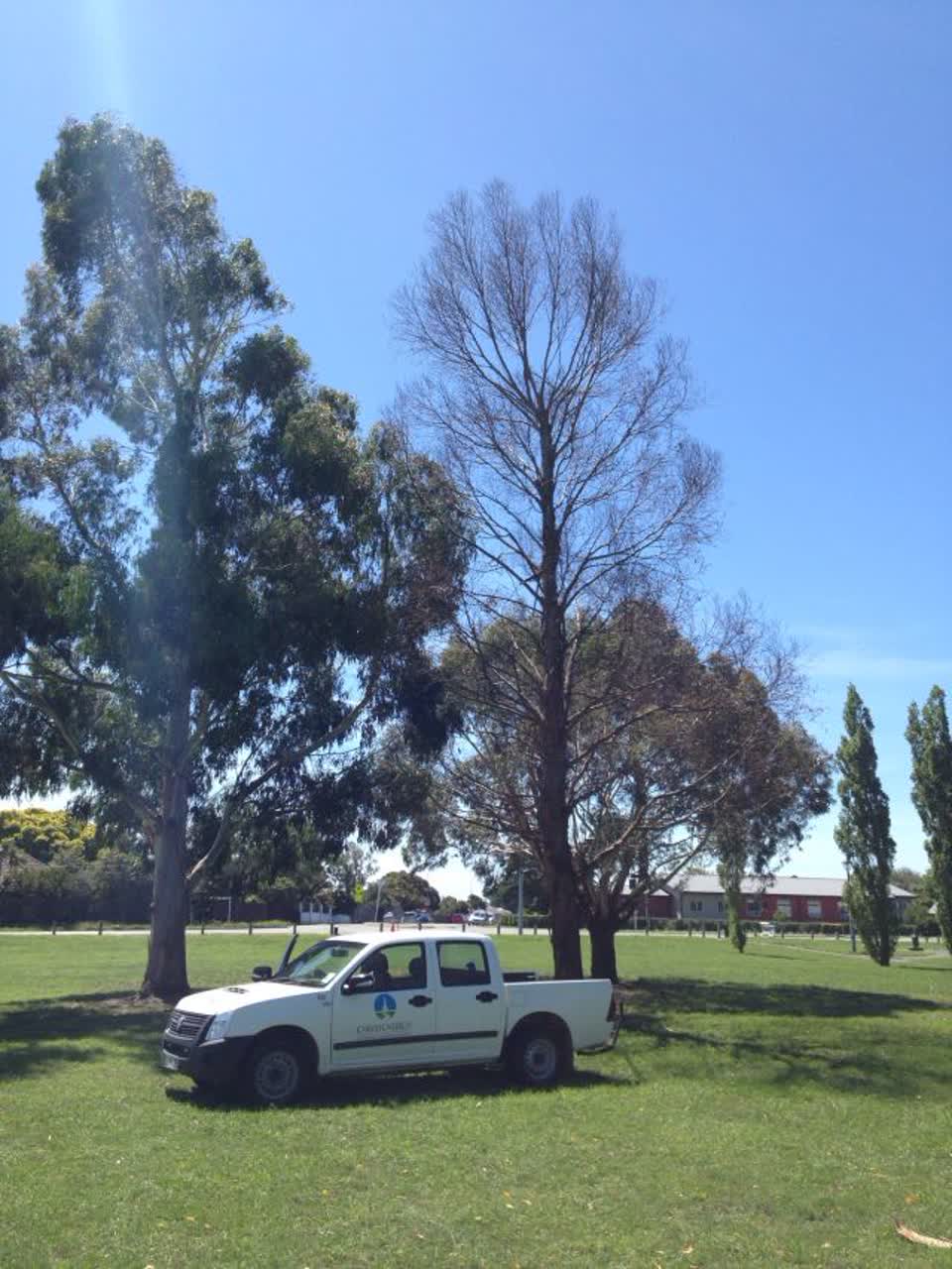 The photograph attached to this parks report