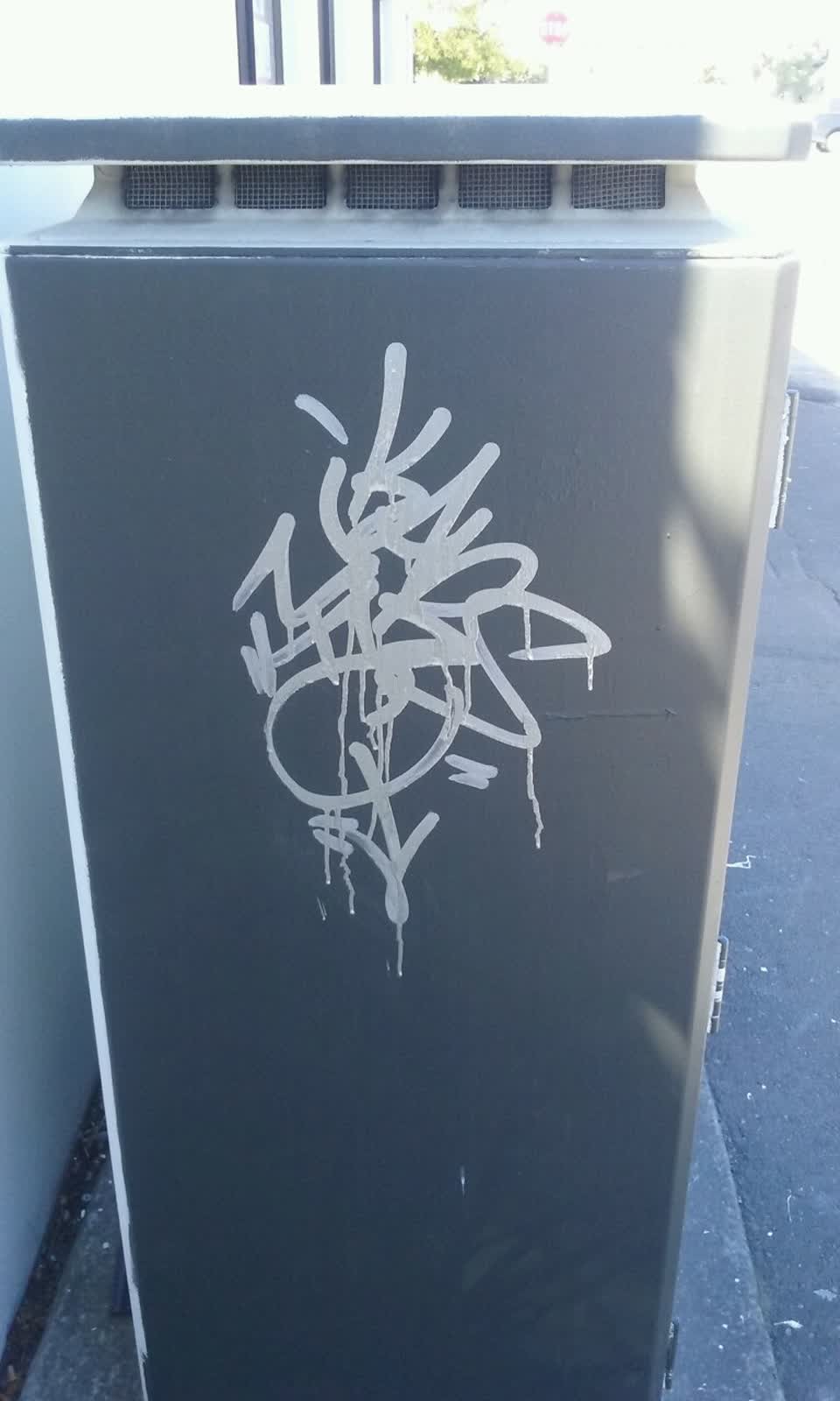 The photograph attached to this graffiti report