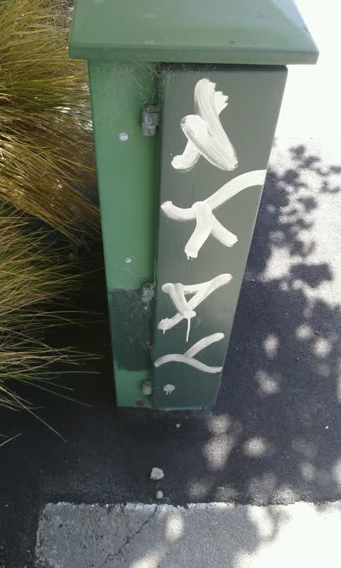 Graffiti, a report photo