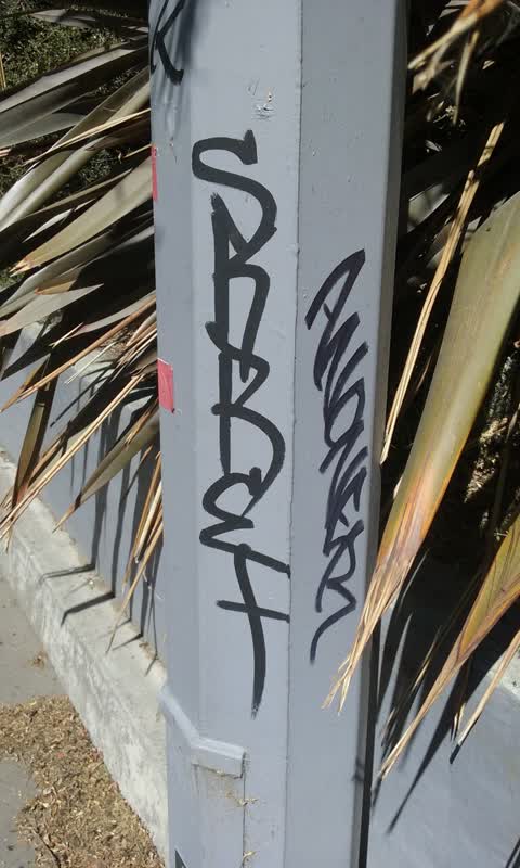 Graffiti — a report photo