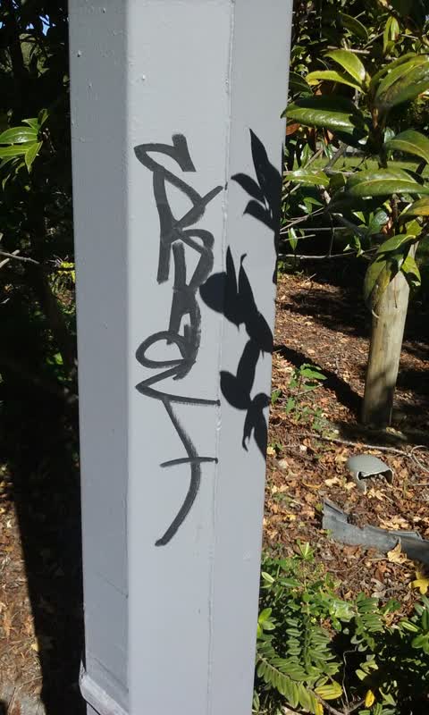 Graffiti, a report photo