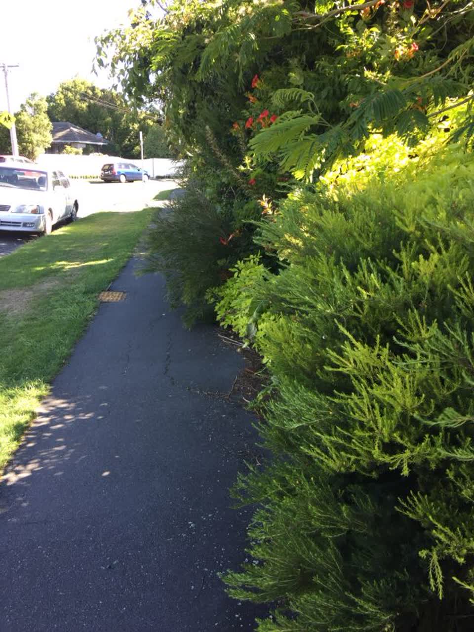 The photograph attached to this roading/streets report