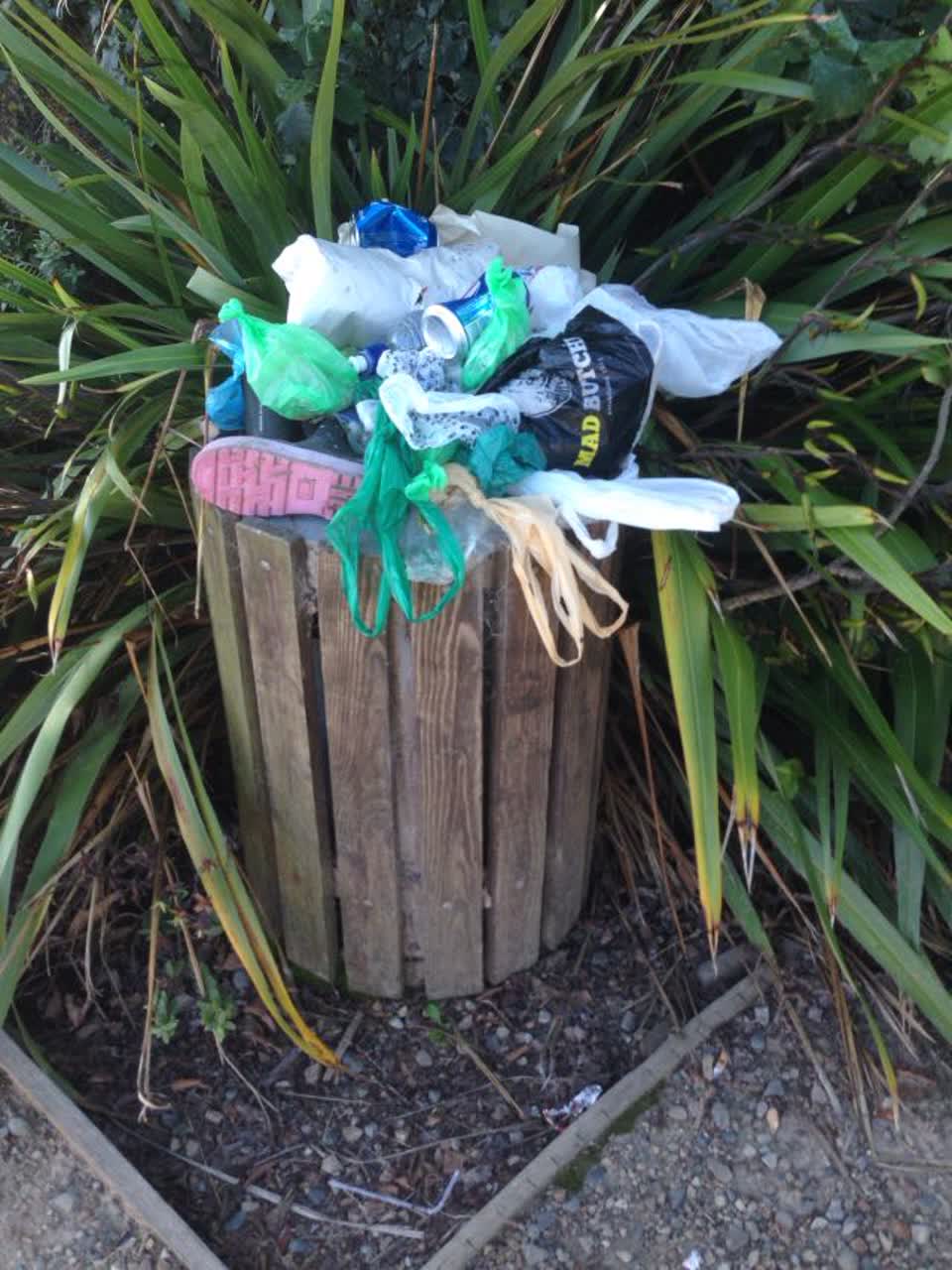 The photograph attached to this parks report