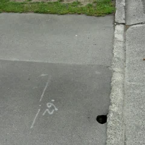 Roading/Streets, a report photo