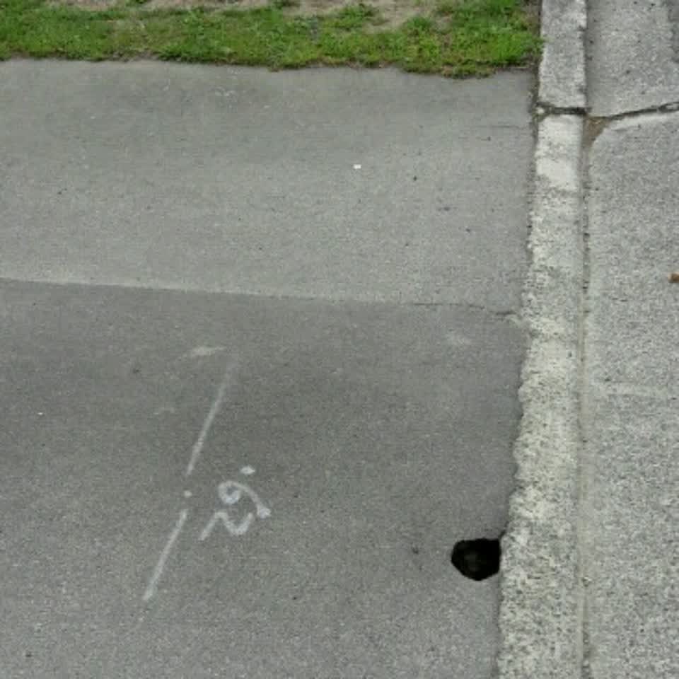 The photograph attached to this roading/streets report