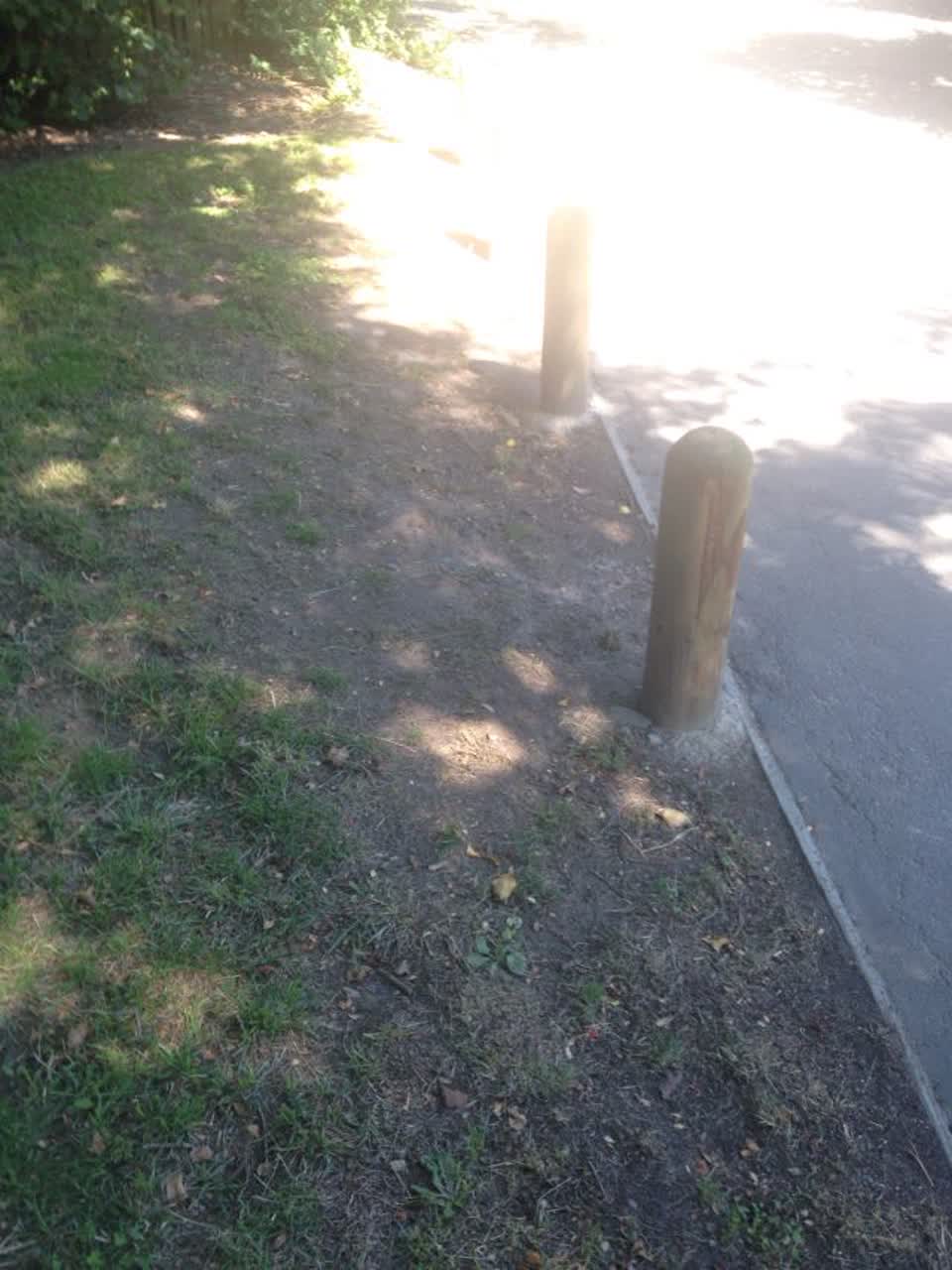 The photograph attached to this parks report