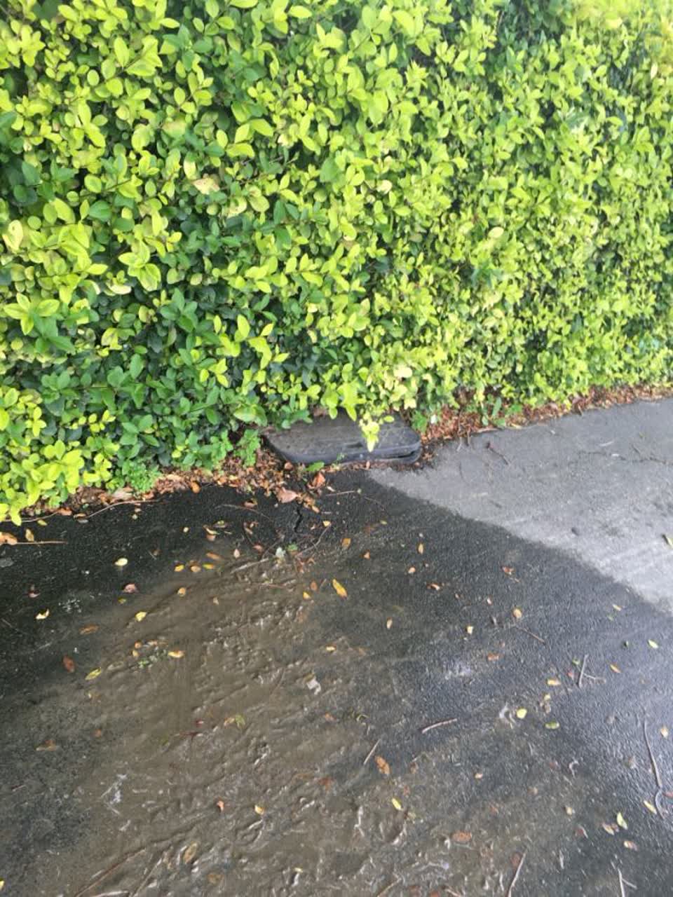 The photograph attached to this water supply report