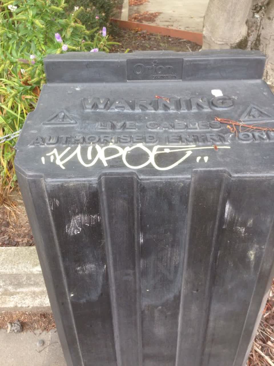The photograph attached to this graffiti report