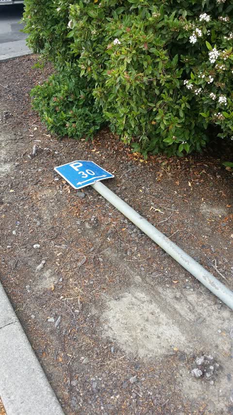 Roading/Streets, a report photo