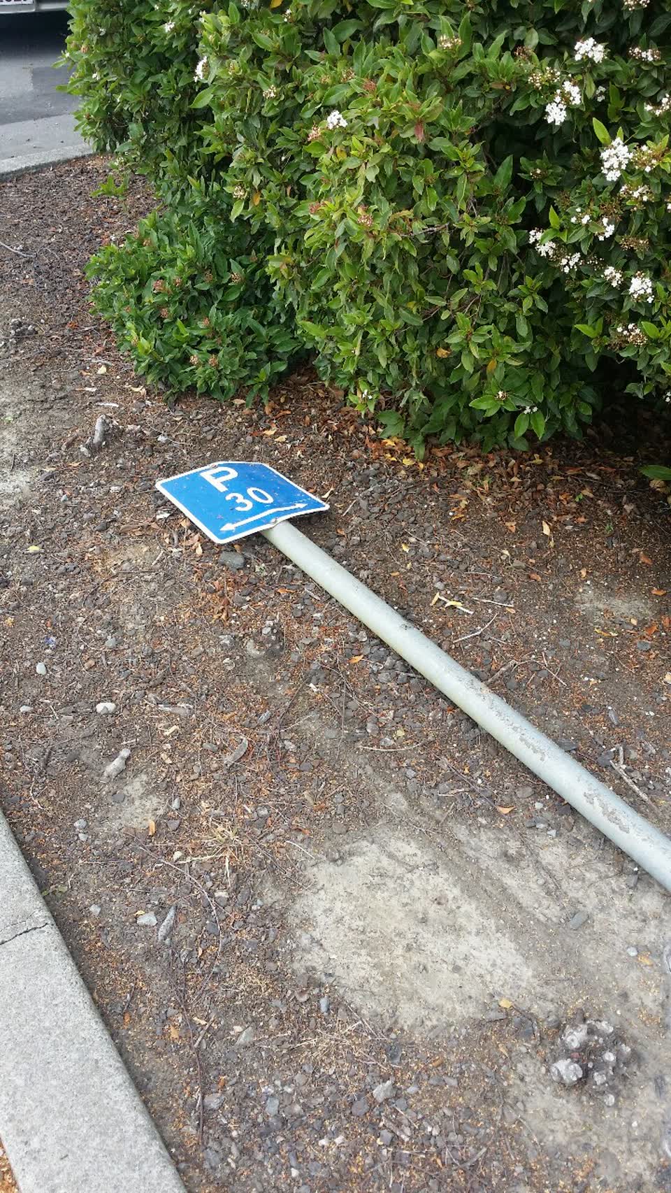 The photograph attached to this roading/streets report