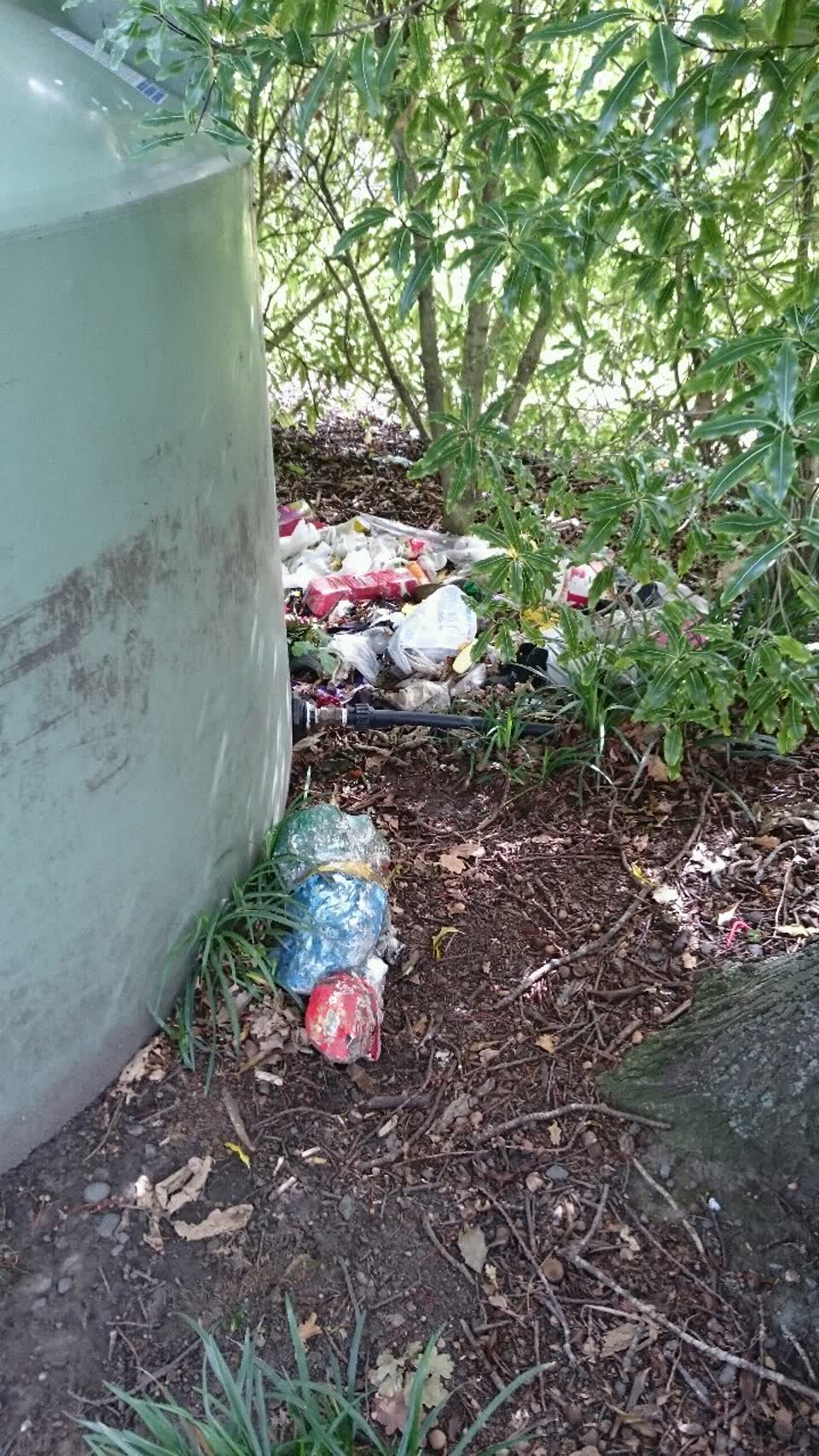The photograph attached to this parks report