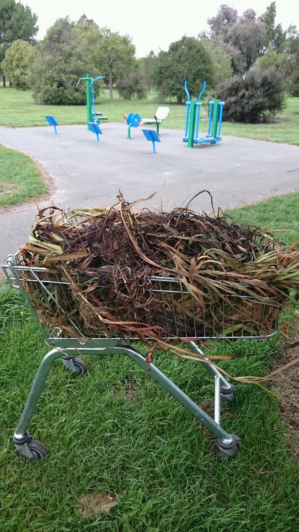 The photograph attached to this parks report